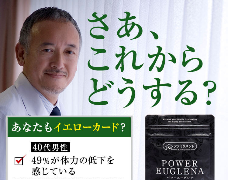 さあ、これからどうする?