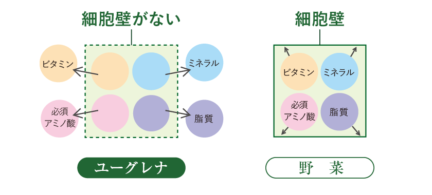 パワーユーグレナ 公式通販 男性に人気のユーグレナサプリ ユーグレナミドリムシshop