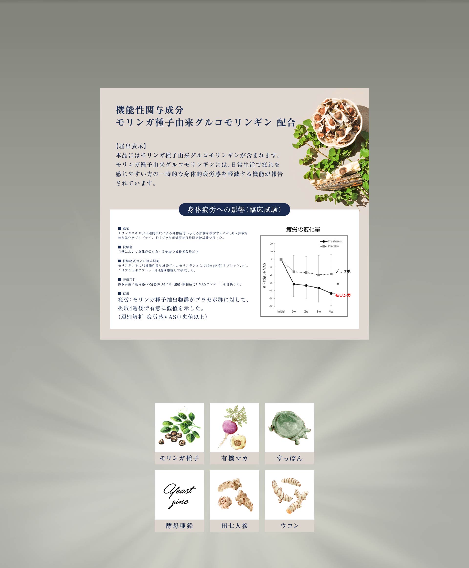 モリンガ種子 有機マカ すっぽん 酵母亜鉛 田七人参 ウコン