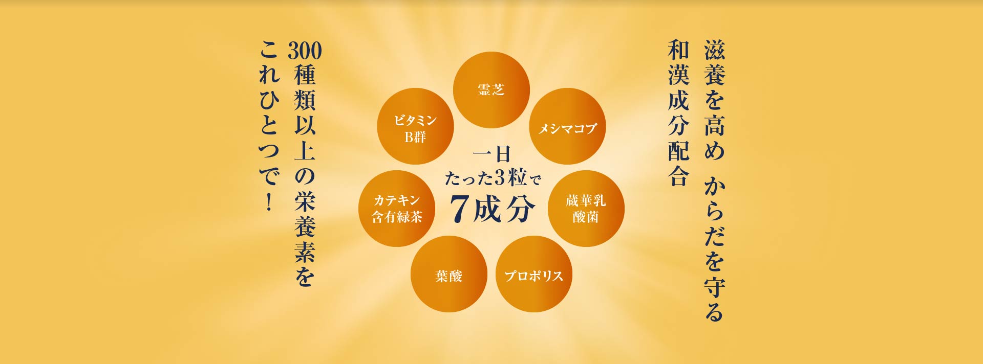 一日たった3粒で7成分