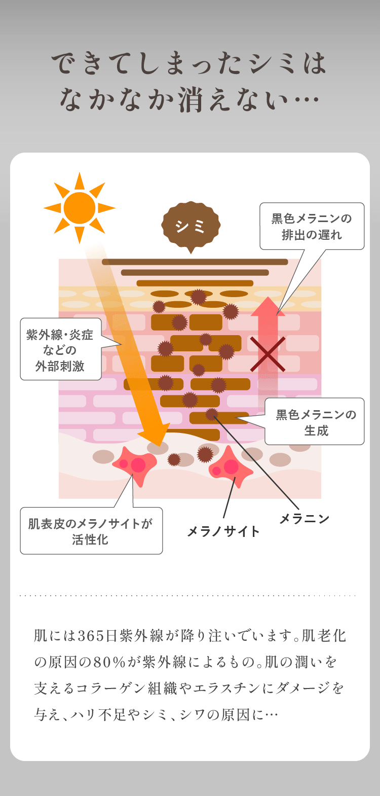 B.C.A.D.UVプロテクションクリーム| シックスセンスラボ・会員様限定