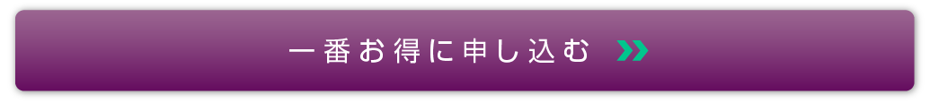 一番お得に申し込む